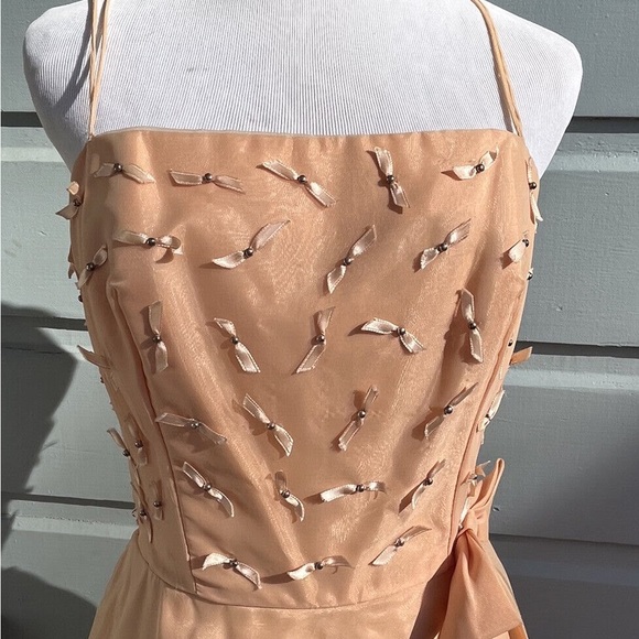 Vintage 60s Frothy Peaches & Cream Organdy Gown - Picture 2 of 8